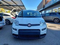 usata Fiat Panda 1.0 FireFly S&S Hybrid City Life #VARI COLORI