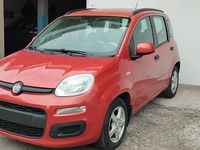 Usata Fiat Panda Dynamic 69 CV (50 kW) 2012 Rosso Berlina
