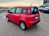 Usata Fiat Panda Easy 69 CV (50 kW) 2020 Rosso Utilitaria