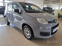 Usata Fiat Panda Easy 69 CV (50 kW) 2018 Grigio Utilitaria