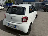 Usata Smart ForFour Passion 90 CV (66 kW) 2017 Utilitaria