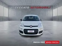 Nuova Fiat Panda Icon 65 CV (47 kW) 2026 Bianco Utilitaria