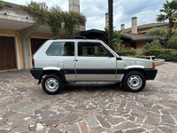 Usata Fiat Panda 4x4 Trekking 2003 Grigio Utilitaria
