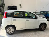 Usata Fiat Panda Lounge 69 CV (50 kW) 2015 Bianco Utilitaria
