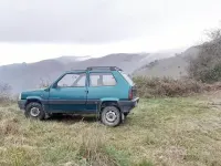 Usata Fiat Panda 4x4 Club 50 CV (36 kW) 1993 Verde Utilitaria