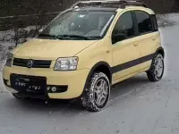 Usata Fiat Panda 4x4 Climbing 60 CV (44 kW) 2005 Giallo Utilitaria