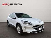 Usata Ford Kuga Titanium 225 CV (165 kW) 2020 Bianco SUV