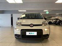 usata Fiat Panda 1.0 FireFly 70cv S&S Hybrid City Life