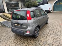 Usata Fiat Panda City Life 71 CV (52 kW) 2022 Grigio Berlina