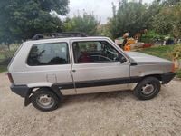 Usata Fiat Panda 4x4 2003 Utilitaria