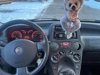 Usata Fiat Panda 4x4 69 CV (50 kW) 2010 Utilitaria