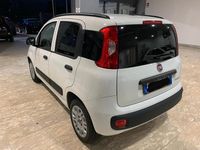 Usata Fiat Panda Easy 69 CV (50 kW) 2021 Bianco Berlina