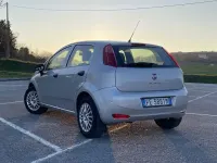 Usata Fiat Punto Street 69 CV (50 kW) 2016 Utilitaria
