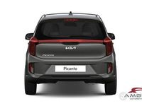 Nuova Kia Picanto Style 67 CV (49 kW) 2025 Grigio Utilitaria