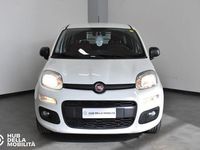 Usata Fiat Panda Easy 69 CV (50 kW) 2020 Bianco Utilitaria