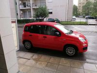 Usata Fiat Panda Easy 69 CV (50 kW) 2019 Utilitaria