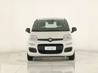 Usata Fiat Panda 69 CV (50 kW) 2025 Bianco gelato Utilitaria