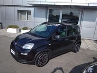 usata Fiat Panda 1.0 FireFly S&S Hybrid City Life #PRO