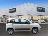 Usata Fiat Panda Easy 80 CV (58 kW) 2015 Beige Utilitaria
