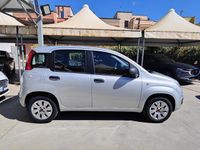 Usata Fiat Panda Easy 69 CV (50 kW) 2019 Argento Utilitaria