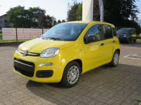 Nuova Fiat Panda Pop 65 CV (47 kW) 2026 Giallo Utilitaria