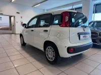 Usata Fiat Panda S 70 CV (51 kW) 2025 Bianco Utilitaria