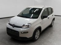 Usata Fiat Panda S 69 CV (50 kW) 2024 Bianco Utilitaria