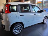Usata Fiat Panda Lounge 95 CV (69 kW) 2016 Bianco Utilitaria