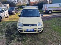 Usata Fiat Panda Dynamic 60 CV (44 kW) 2008 Giallo Utilitaria