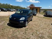 Usata Fiat Panda Lounge 69 CV (50 kW) 2016 Blu Utilitaria