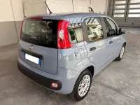 Usata Fiat Panda Easy 69 CV (50 kW) 2017 Grigio Utilitaria