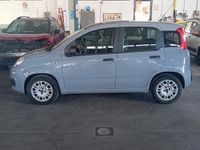 Usata Fiat Panda Easy 69 CV (50 kW) 2019 Grigio Utilitaria
