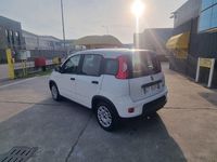 Begagnad Fiat Panda S 70 HK (51 kW) 2024 Vit Halvkombi