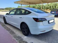 Usata Tesla Model 3 Long Range AWD 152 kW (208 CV) 2021 Bianco Berlina