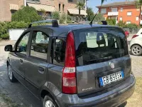 Usata Fiat Panda Dynamic 69 CV (50 kW) 2010 Grigio Utilitaria