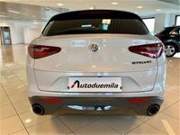 usata Alfa Romeo Stelvio Stelvio2.2 Turbodiesel 190 CV AT8 RWD Sprint usato