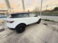 Usata Land Rover Range Rover evoque 150 CV (110 kW) 2013 Bianco SUV
