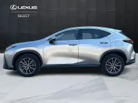 Usata Lexus NX450h+ 309 CV (227 kW) 2022 Other SUV