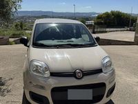 Usata Fiat Panda Young 69 CV (50 kW) 2016 Utilitaria