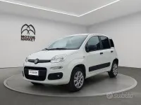 Usata Fiat Panda 4x4 Pop 86 CV (63 kW) 2020 Bianco Utilitaria