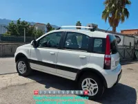 Usata Fiat Panda 4x4 Climbing 75 CV (55 kW) 2011 Bianco Utilitaria