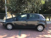 Usata Fiat Punto Evo Active 75 CV (55 kW) 2010 Grigio Utilitaria