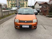 Usata Fiat Panda 4x4 Climbing 69 CV (50 kW) 2008 Arancione Utilitaria