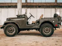 Usata Jeep Willys 58 CV (42 kW) 1953