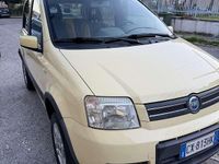 Usata Fiat Panda 4x4 69 CV (50 kW) 2007 Utilitaria