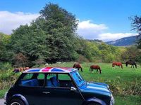 Usata Austin Mini 44 CV (32 kW) 1991 Berlina