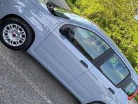 Usata Fiat Panda Easy 69 CV (50 kW) 2022 Utilitaria