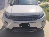 Usata Land Rover Range Rover evoque 190 CV (139 kW) 2015 Bianco SUV