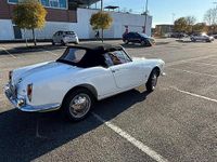 Usata Alfa Romeo Giulia Spider 1960 Bianco Cabrio