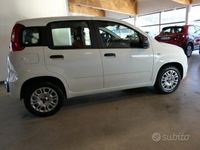 Usata Fiat Panda Easy 69 CV (50 kW) 2020 Bianco Utilitaria